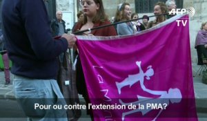 Manifestations pro et anti-PMA à Paris