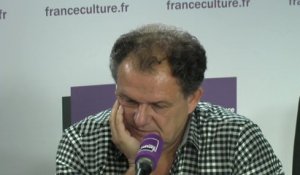 Pierre Grosser : réaction à la défense du multilatéralisme par Macron