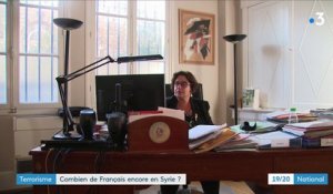 INFO FRANCE 3. Syrie : 120 enfants de jihadistes français sont détenus sur place, la France examinera leur rapatriement au cas par cas
