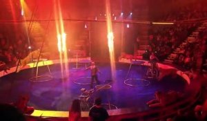 Cirque : un tigre s’effondre et convulse en plein show en Russie sous les yeux des spectateurs - VIDEO