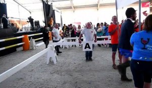 Premier championnat du monde de "cheval à deux pattes"