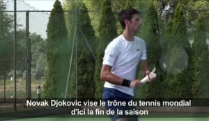 Djokovic se prépare à Belgrade, vise le trône