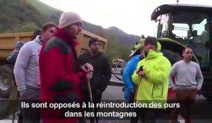 Pyrénées: blocage des routes contre l'arrivée des ours