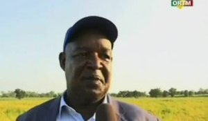 ORTM/Mission de supervision des activités végétales de la campagne agricole 2018-2019 à koulikoro