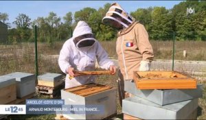 Arnaud Montebourg : miel in France...