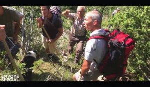 En Ariège, certains éleveurs ont décidé de rouvrir la chasse à l'ours et de résister à l'Etat