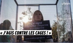 Contre l’élevage des animaux en cage, 130 ONG passent à l’offensive