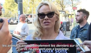 Pamela Anderson en cage à Paris contre la maltraitance animale