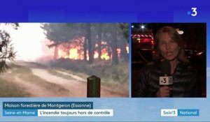 Essonne : un important feu ravage la forêt de Sénart
