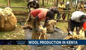 La laine, une matière innovante au Kenya