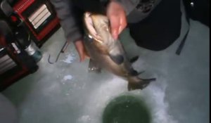 Il peche une truite monstrueuse sur un lac gelé