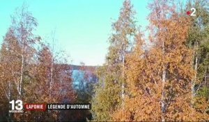 Laponie : un court automne coloré avant le manteau de neige