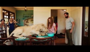 Mia and the White Lion / Mia et le lion blanc (2018) - Trailer (French)