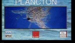 Plancton
