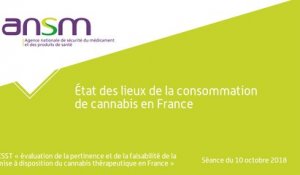 État des lieux de la consommation de cannabis en France