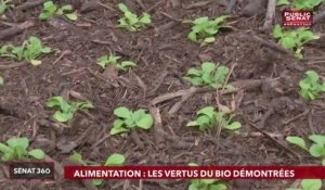 Alimentation bio / Black Bloc / Gens du voyage - Sénat 360 (23/10/2018)