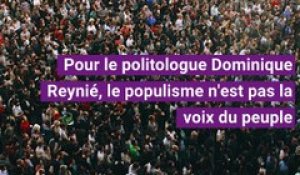 Dominique Reynié : le populisme est un mouvement d'élite