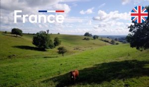 Video Clip: "Made in France Made for you" - Version anglaise
