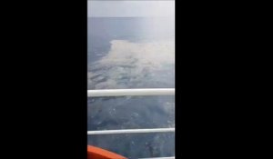 Indonésie - Un avion de ligne s'écrase dans l'eau avec 189 personnes à bord