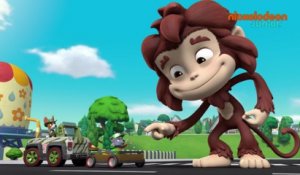 Paw Patrol : la Pat'Patrouille | Primate Patrouille | NICKELODEON JUNIOR