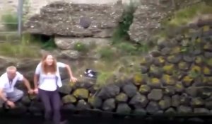 Cette femme saute dans un canal pour sauver un chien de la noyade