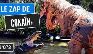 Le Zap de Cokaïn.fr n°073