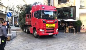 Mulhouse: l'arrivée du grand sapin en centre ville