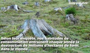 Chaque Français consomme 352 m2 de forêt par an