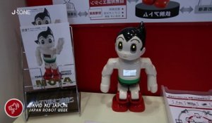 [Nyûsu Show] Japan Robot Week