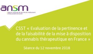 CSST Cannabis thérapeutique - Séance du 12 novembre 2018