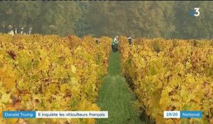 Donald Trump inquiète les viticulteurs français