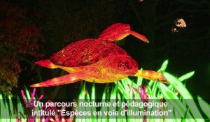 Des animaux lanternes géants au Jardin des plantes à Paris