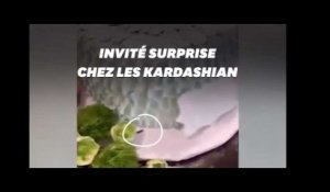 Kylie Jenner a raté ce détail dégoûtant près du gâteau d'anniversaire de sa nièce