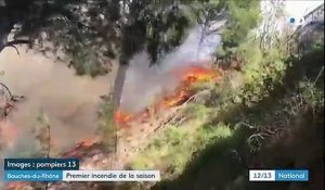 Vents violents : premier feu de forêt dans les Bouches-du-Rhône