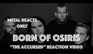 BORN OF OSIRIS "Accursed" Reaction Video | Metal Reacts Only | MetalSucks