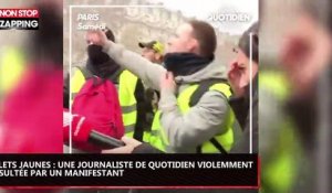 Gilets Jaunes : Une journaliste de Quotidien violemment insultée par un manifestant (vidéo)