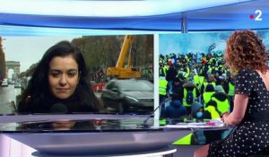 "Gilets jaunes" : les commerçants des Champs-Elysées craignent de nouveaux débordements