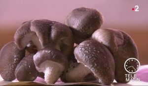 Santé - Les champignons, champions de la santé !