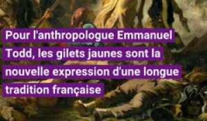 Emmanuel Todd sur les gilets jaunes : "la culture française égalitaire et libérale est toujours là"