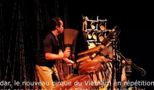 Teh dar, le Nouveau cirque du Vietnam à Mulhouse