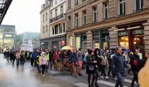La manifestation pour le climat dans les rues de Nancy