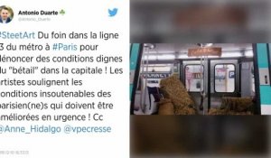 Paris. Du foin répandu dans une rame de la ligne 13 du métro