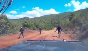 Un couple tombe sur trois hommes armés de machettes sur une route au Kenya