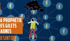 Les gilets jaunes créés par l'élite mondiale ? - DÉSINTOX - 13/12/2018