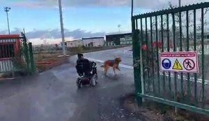 Toulouse : Des personnes handicapés en colère et des gilets jaunes pénètrent sur les pistes de l’aéroport bloquant le trafic aérien
