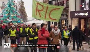 Gilets jaunes : Le Référendum d'Initiative Citoyenne, qu'est-ce que c'est exactement ? Regardez