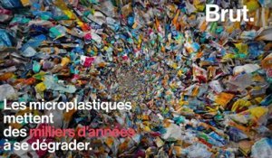 Les scientifiques alertent sur l'omniprésence des microplastiques