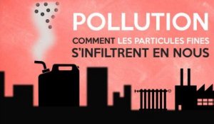 Pollution : comment les particules fines s’infiltrent en nous