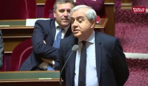 Karoutchi : "Quand il y a urgence, personne ne comprendrait que le Parlement bloque"