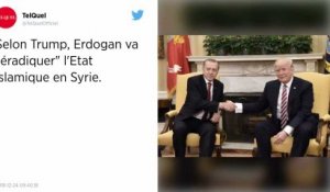 Erdogan va « éradiquer » l'Etat islamique en Syrie, assure Trump.